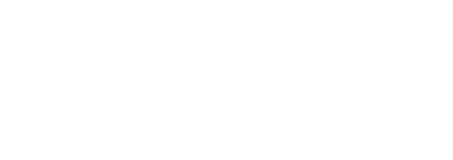 Data Lens