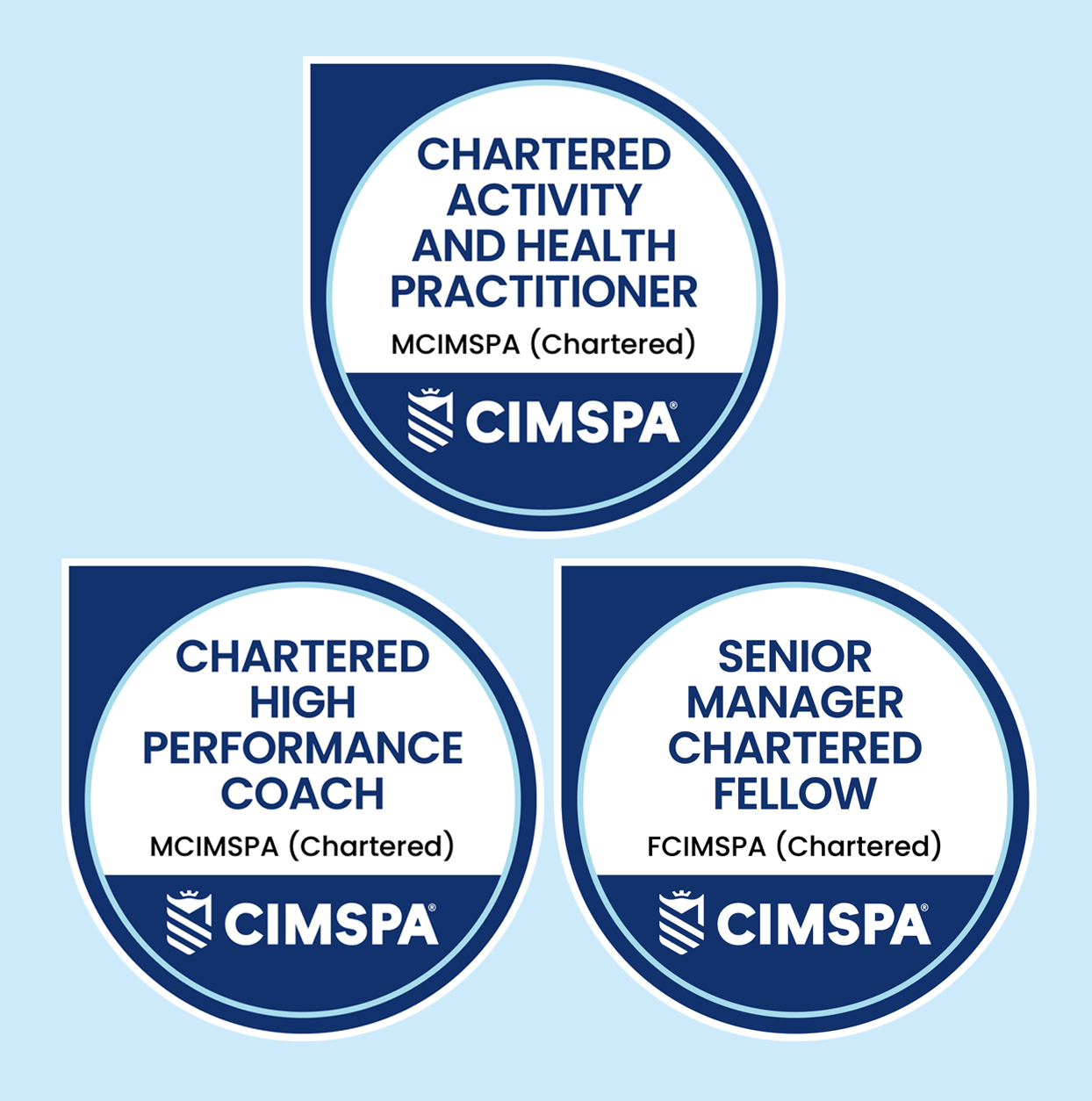 Badge examples.jpg